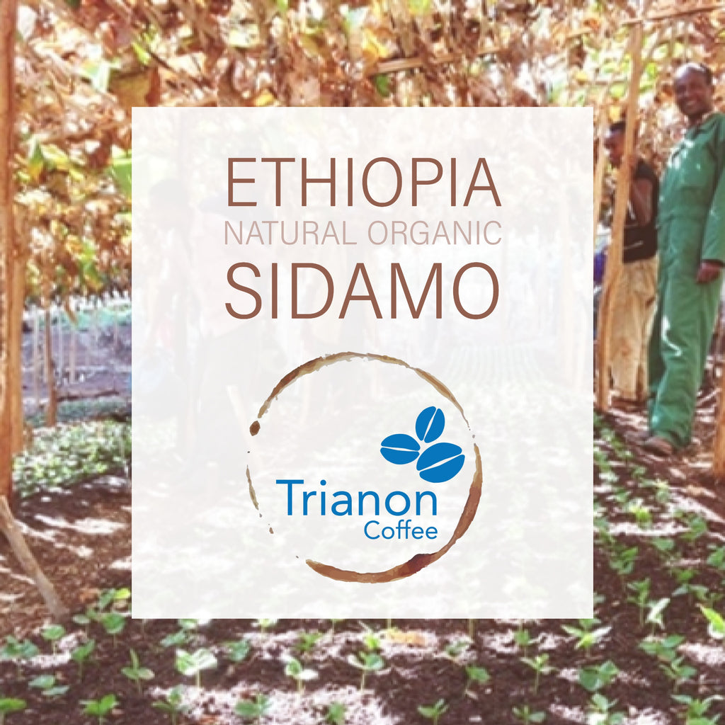 Ethiopia Natural Organic | Locally Roasted in Austin | Fast Shipping