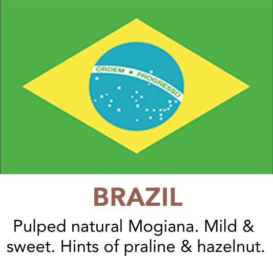 Premium Brazil Coffee