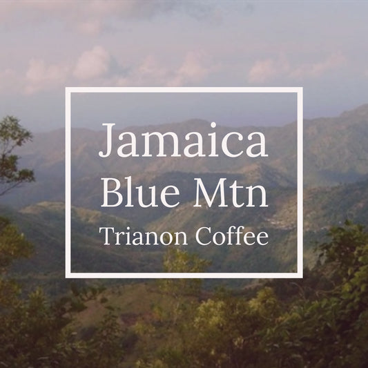 Jamaica Blue Mountain