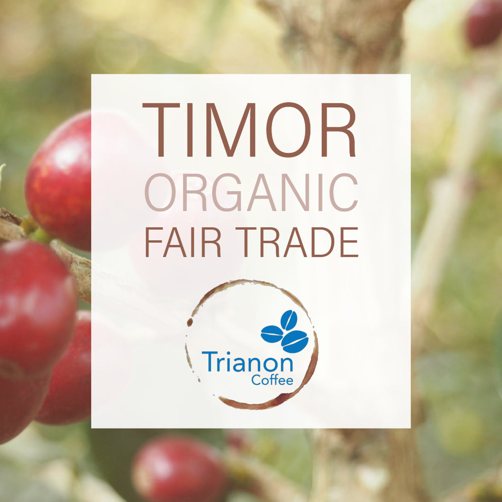 Timor Organic Fair Trade