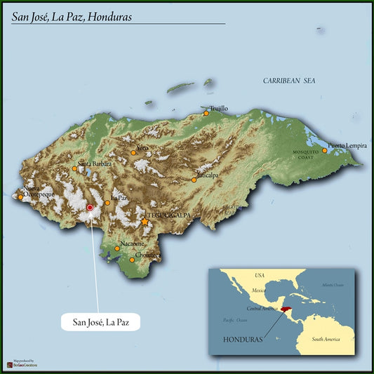 Honduras Yellow Honey Fair Trade Organic Coffee