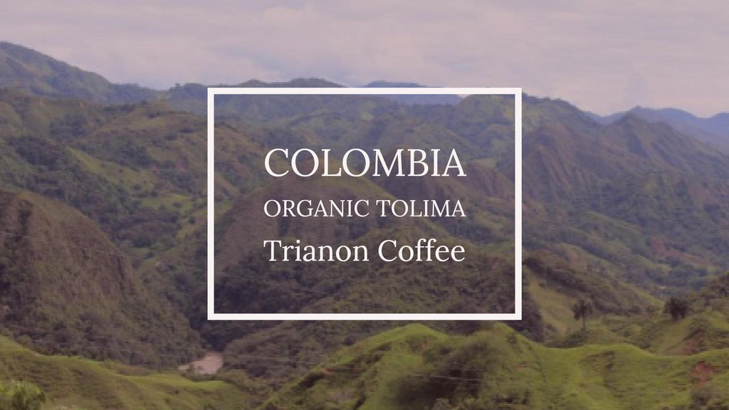 New Organic Microlot: Colombia Tolima Saint Peters Coffee