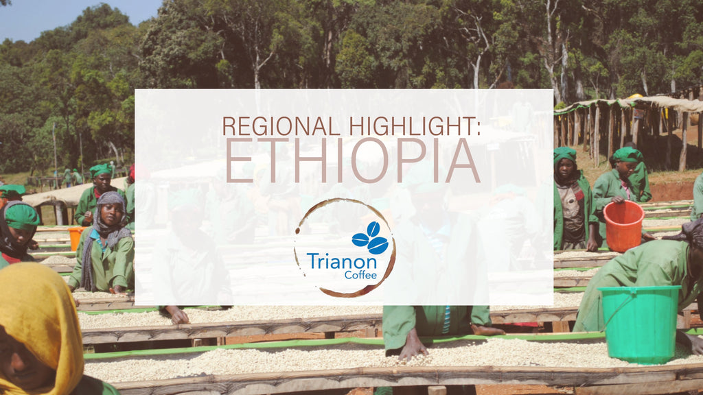 Regional Highlight: Ethiopia