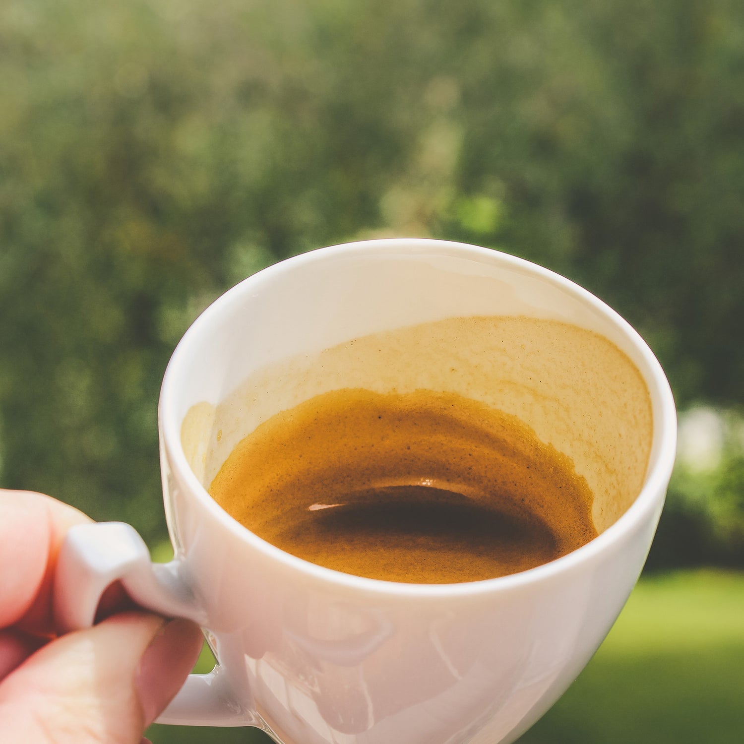 Organic Coffees