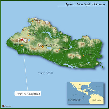 El Salvador Honey