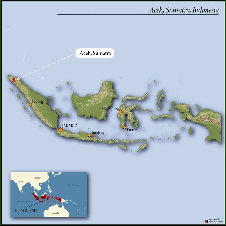 Sumatra Natural