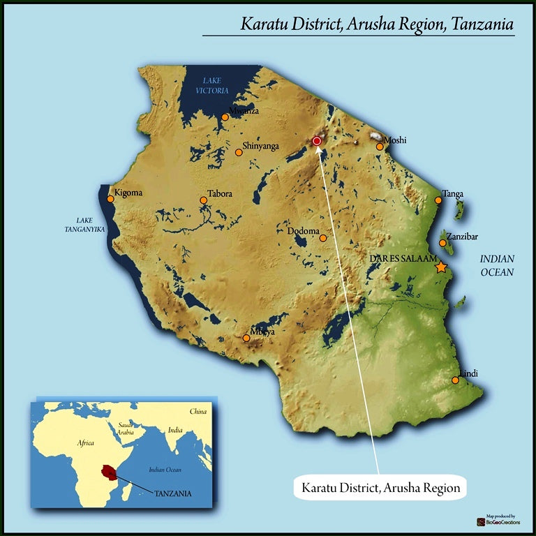 Tanzania Honey