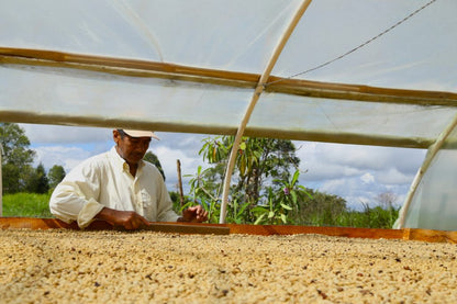 Colombia Honey