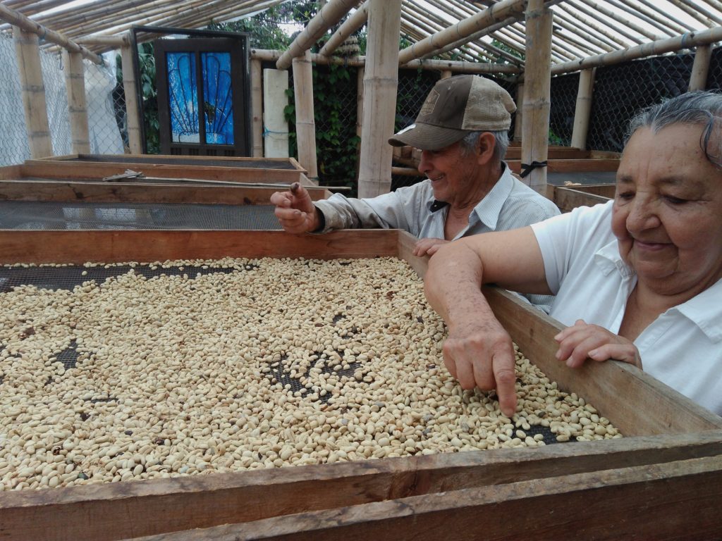 Colombia Honey