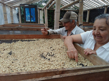 Colombia Honey