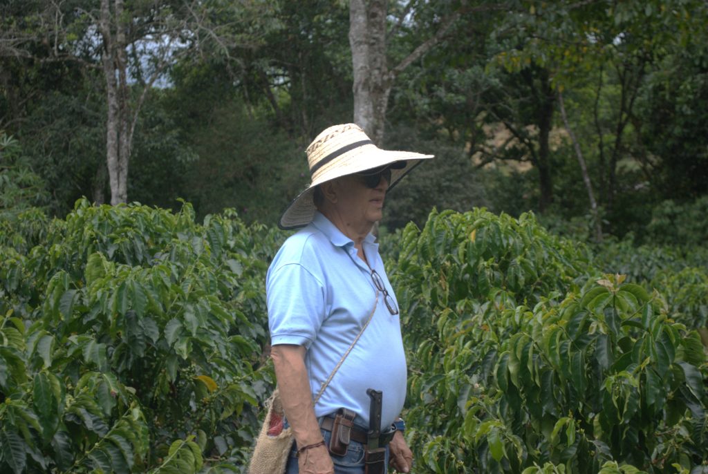 Colombia Honey