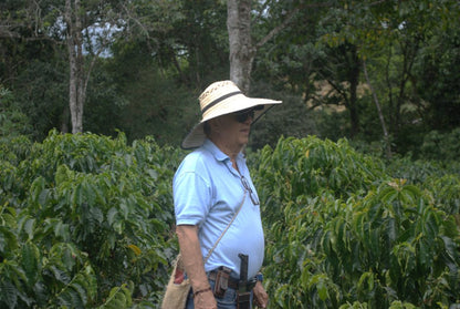 Colombia Honey
