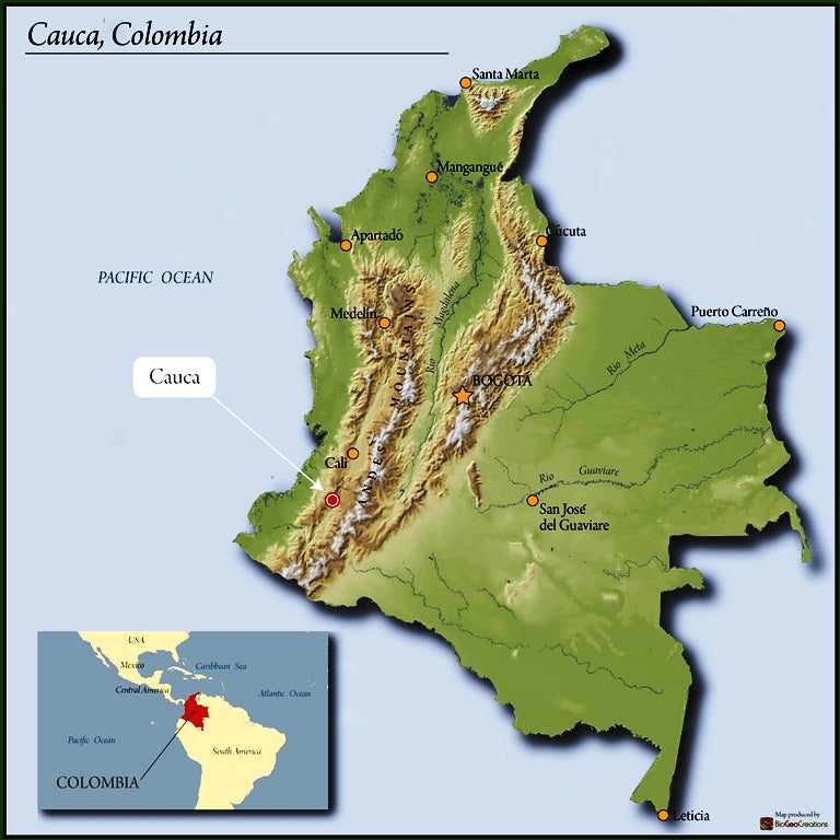 Colombia Honey