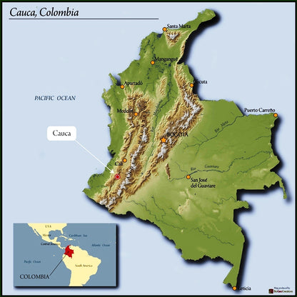 Colombia Honey