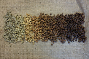 Coffee beans in color scale from green to darkly roasted
