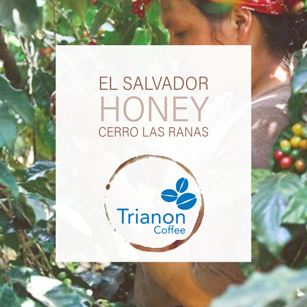 El Salvador Honey