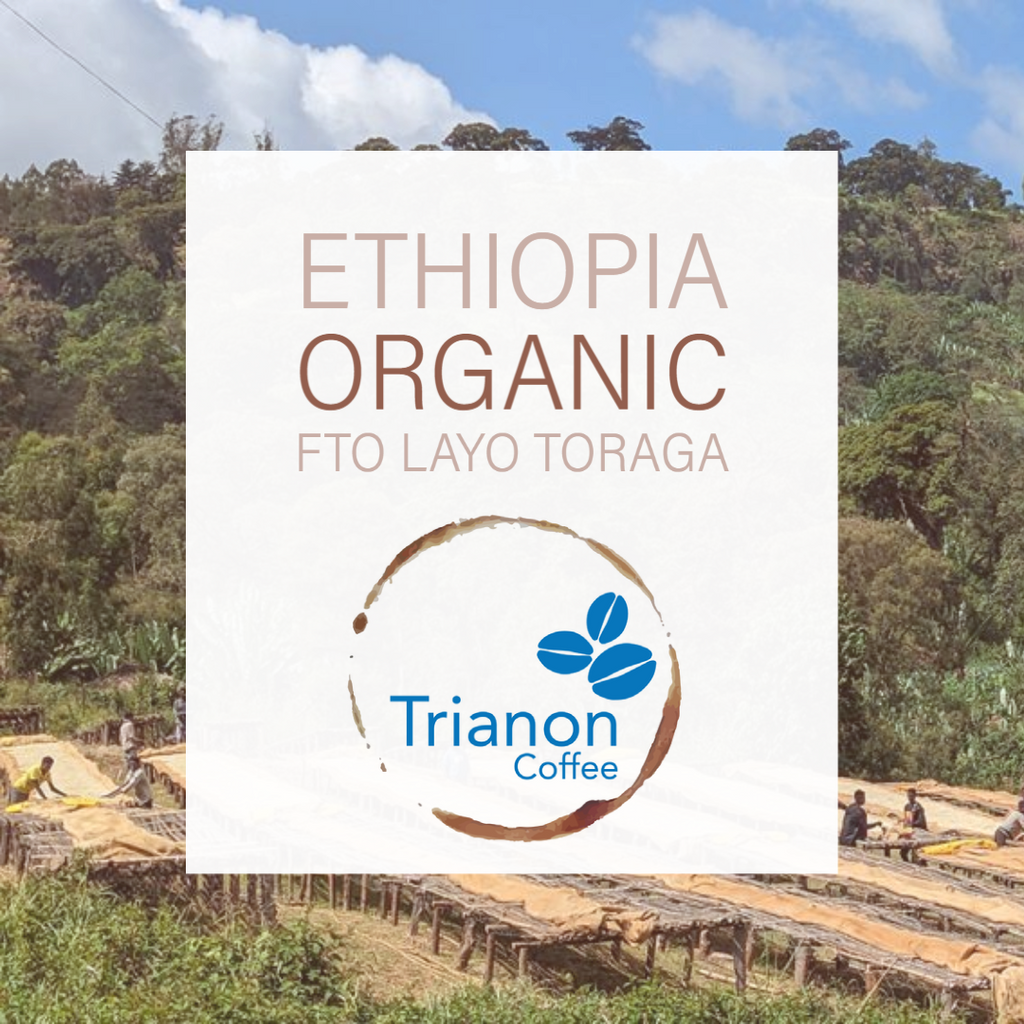 Ethiopia Washed Organic