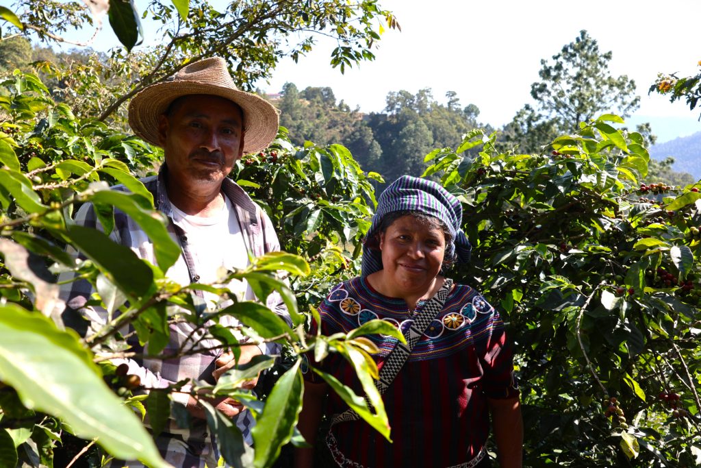 A smiling man and woman standing together in the Quiche coffee plantation