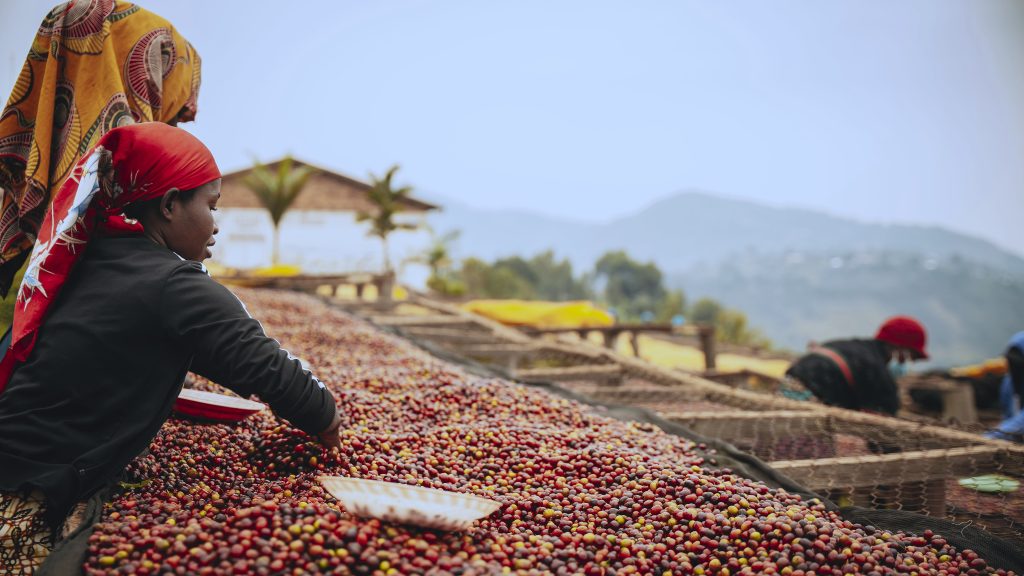 Rwanda Organic Natural