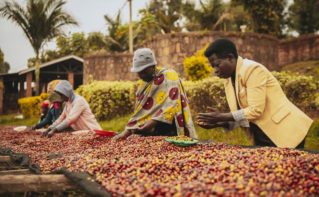 Rwanda Organic Natural