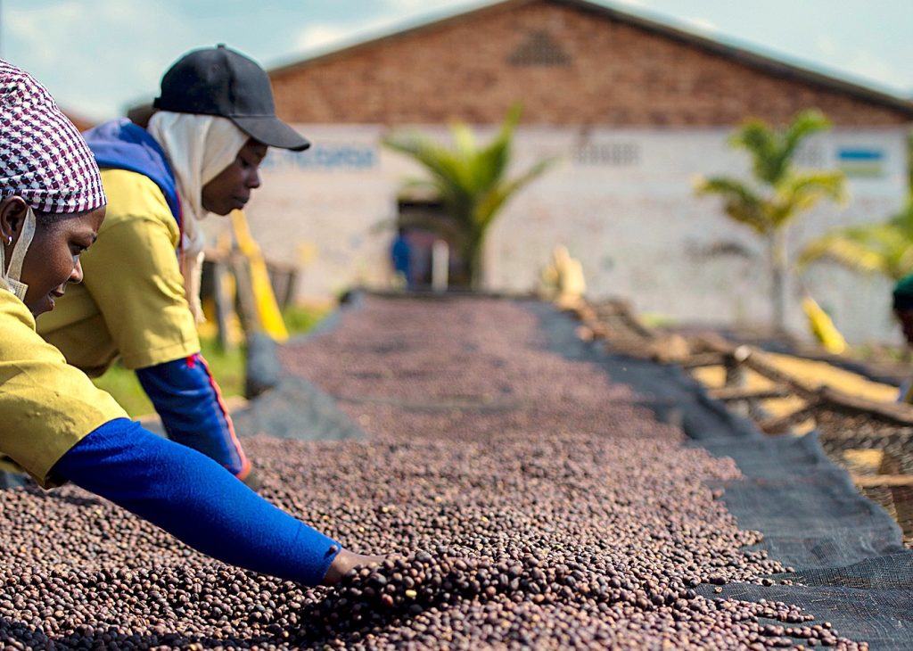 Rwanda Organic Natural