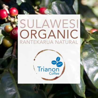 Sulawesi Organic Rantekarua