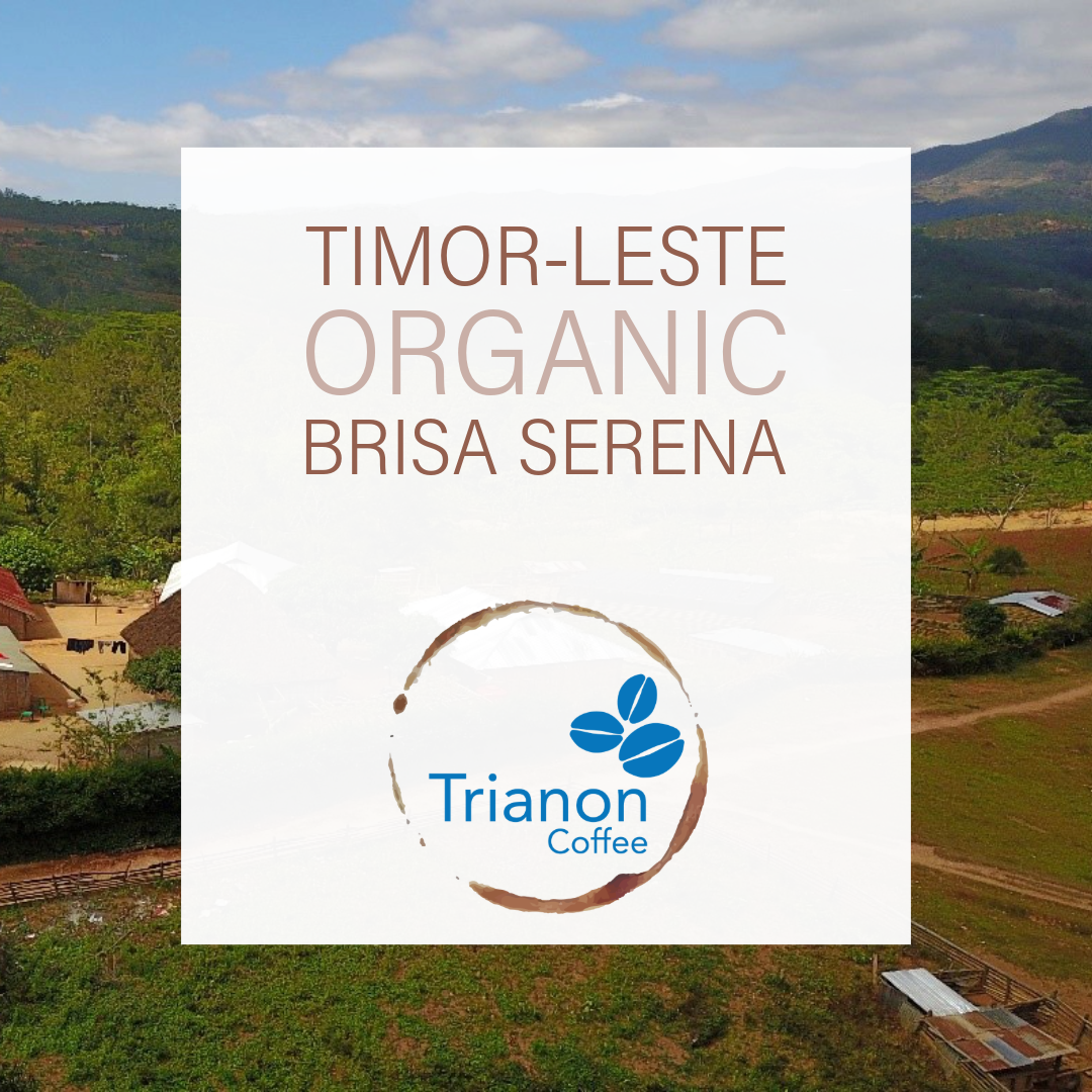 A white rectangular label or package front with the text 'TIMOR-LESTE ORGANIC BRISA SERENA' and the Trianon Coffee logo, overlaid on a scenic outdoor background of green hills, fields, and a blue sky.