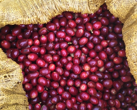 Decaf Colombia