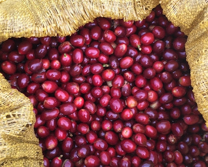 Decaf Colombia