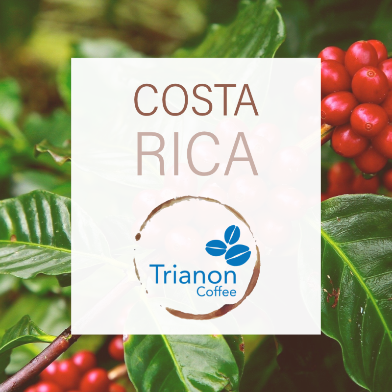 Costa Rica Coffee To Your Door