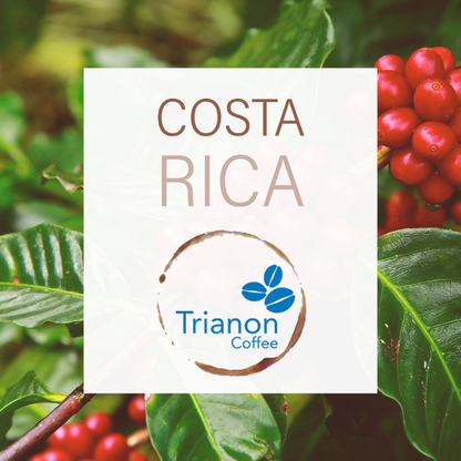 Costa Rica Coffee To Your Door