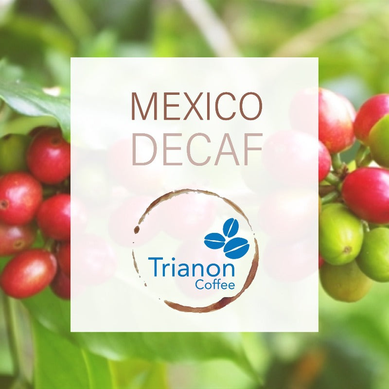 Decaf Mexico Organic Coffee Home Delivery