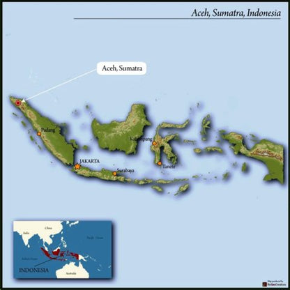 Sumatra Dark