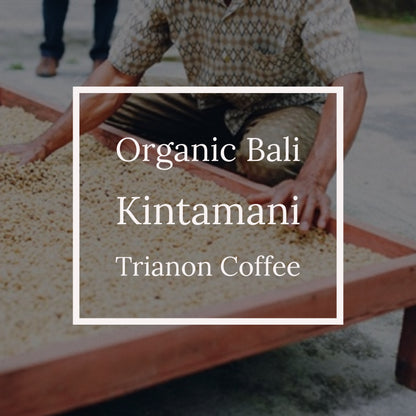 Premium Organic Bali Coffee