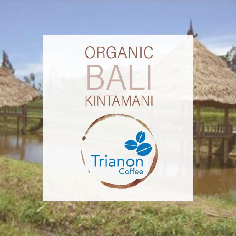 Organic Bali Kintamani Coffee Home Delivery