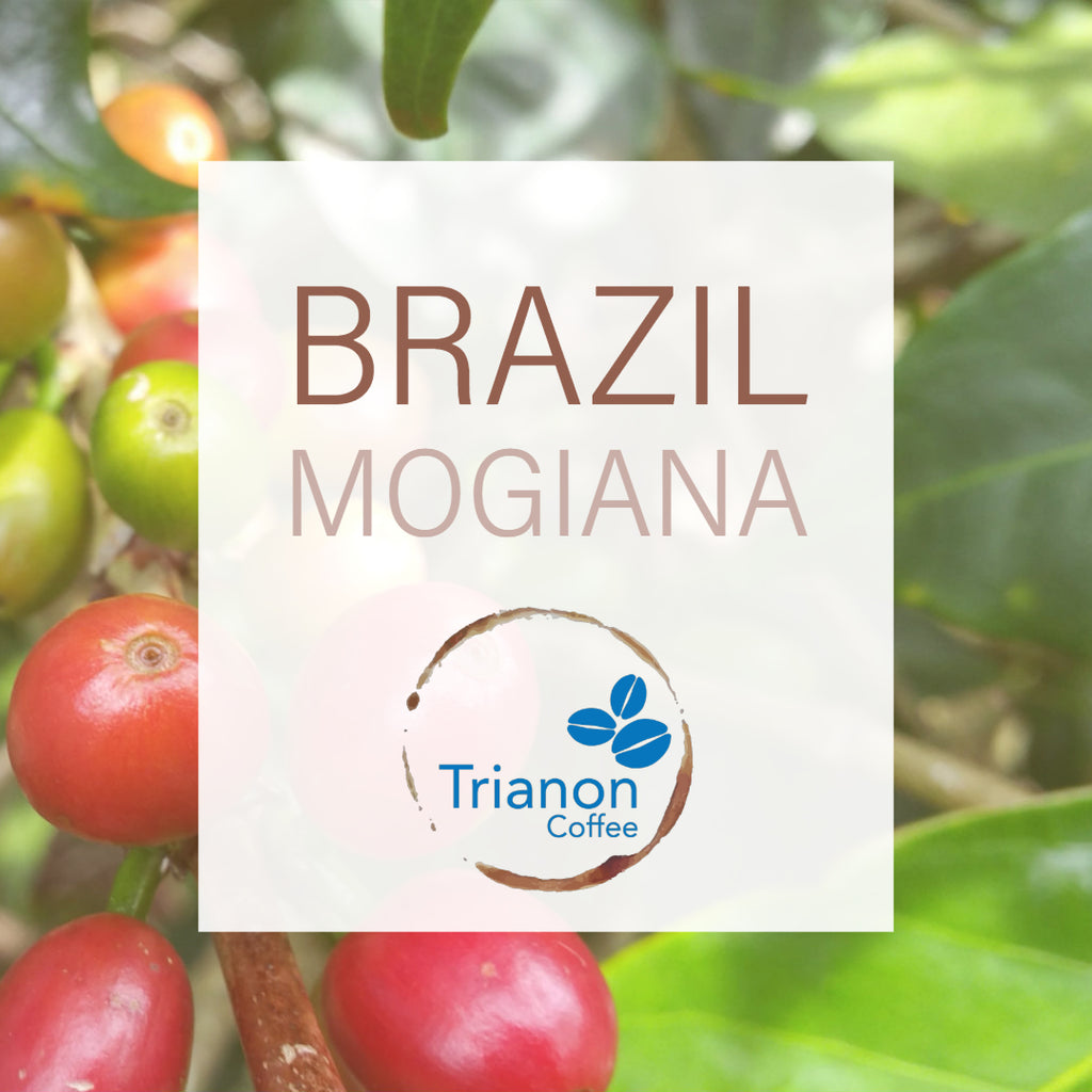 Brazil Coffee Home Delivery