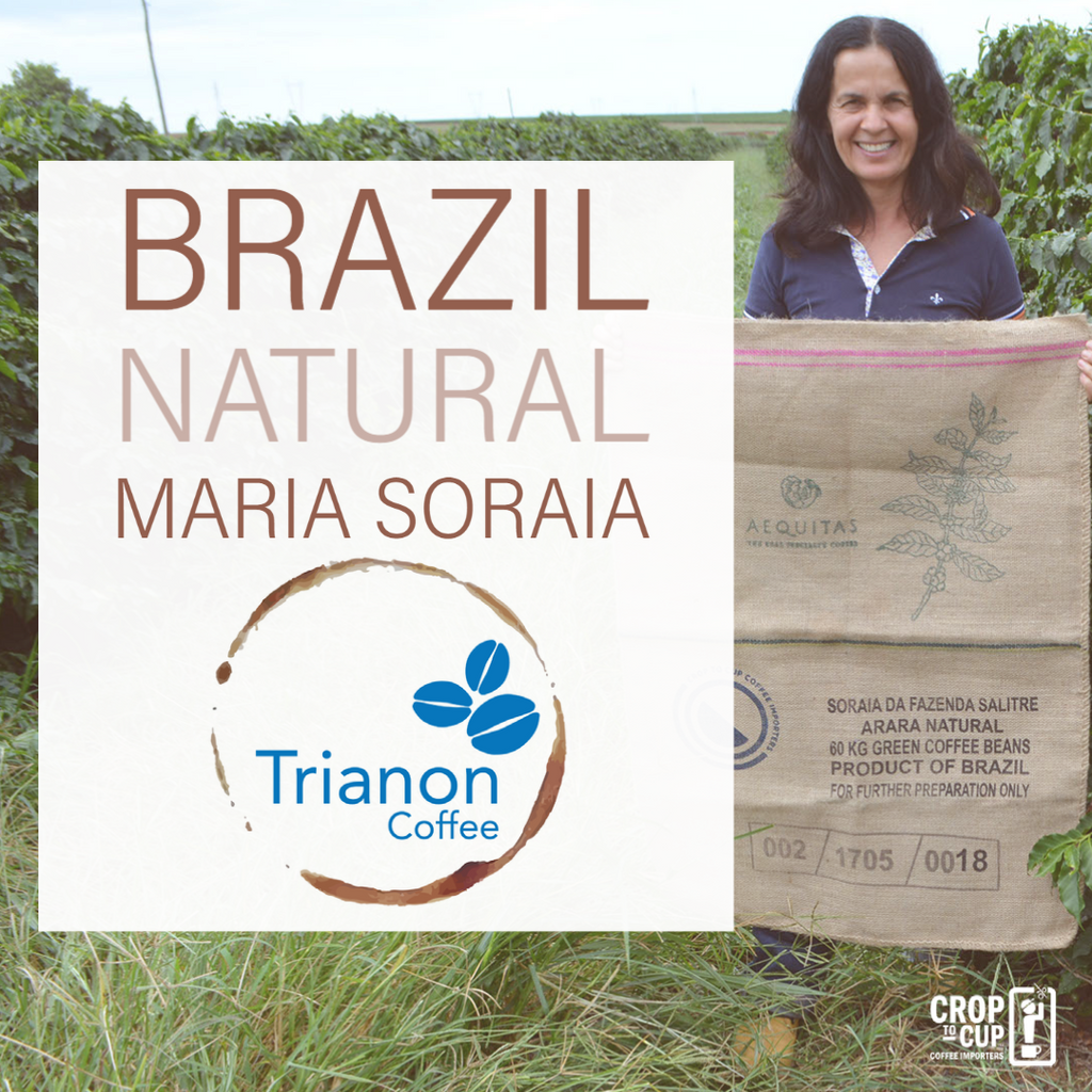 Brazil Natural