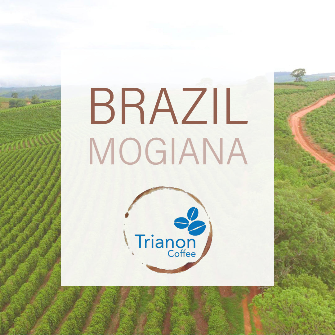 Brazil Coffee to Your Door