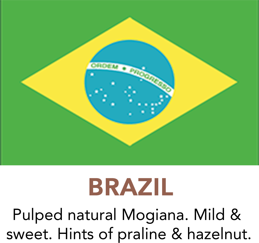 Premium Brazil Coffee