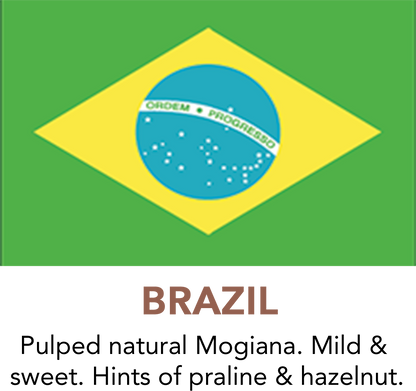 Premium Brazil Coffee