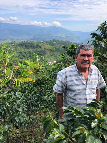 Colombia Medium Roast