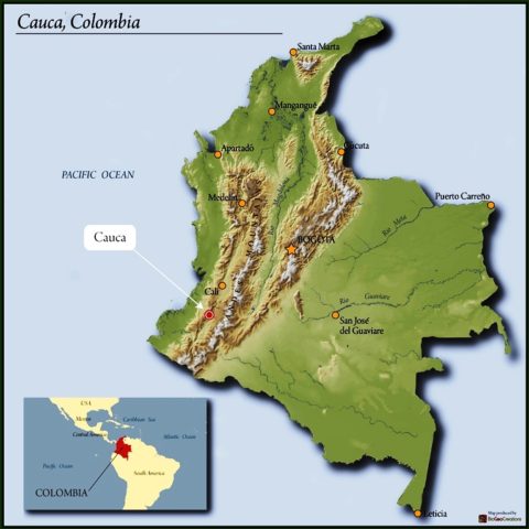 Decaf Colombia Coffee to Your Door
