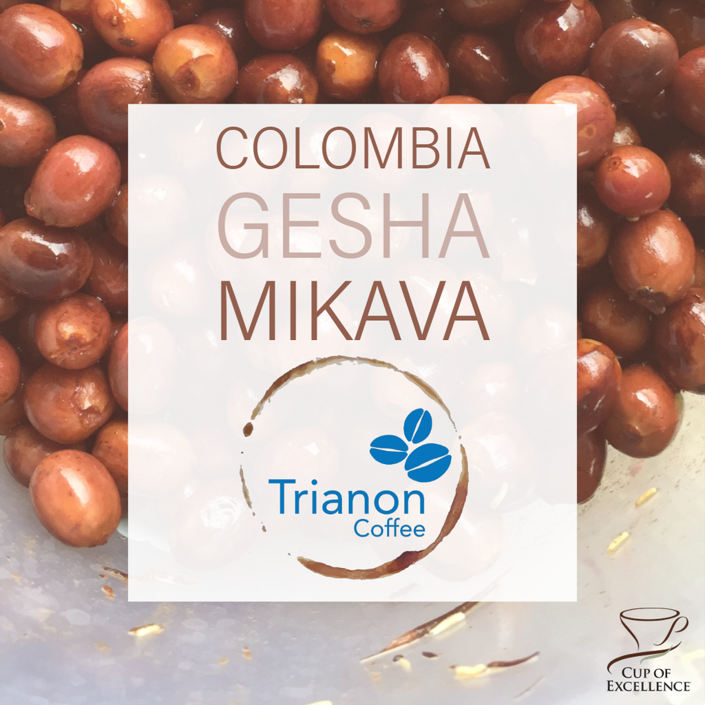 Colombia Gesha Mikava is COE 2019 Winner! Peach blossom flavor notes with a long sweet finish. Silky and super clean.
