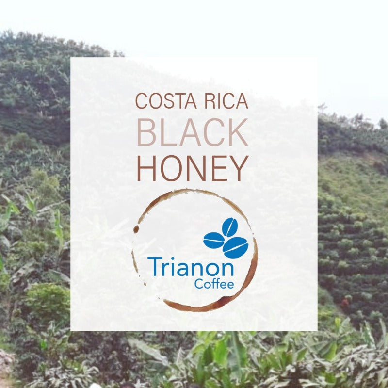 Costa Rica Black Honey Premium Coffee Home Delivery