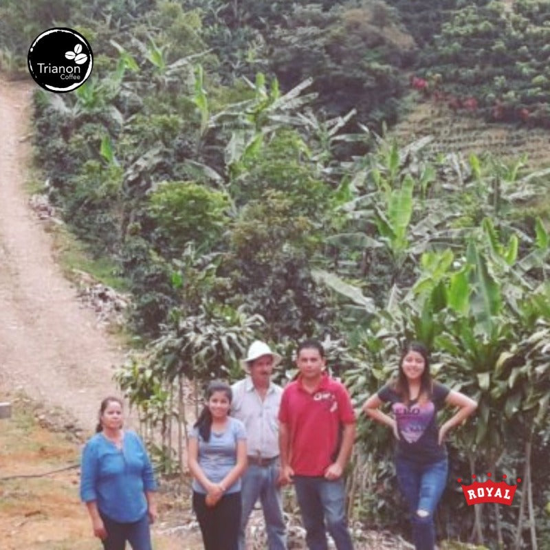 Costa Rica Black Honey Processed Coffee from Monge Familia in Tarrazu
