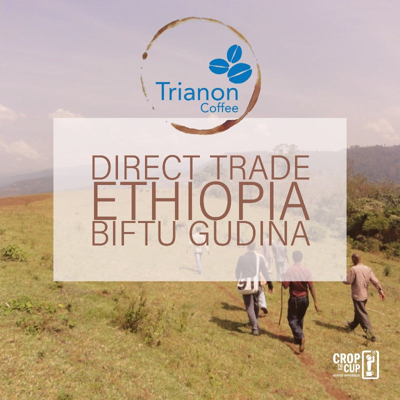 Premium Ethiopia Organic Biftu Gudina Coffee
