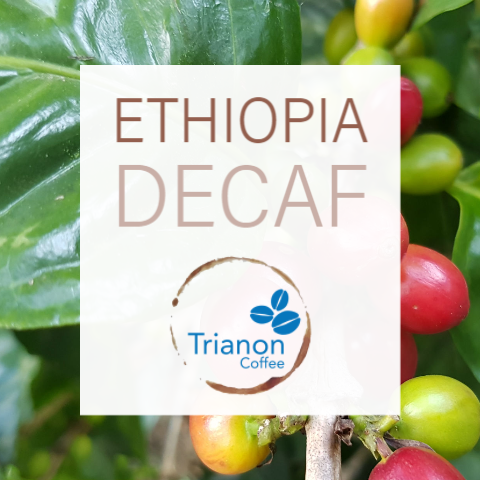Premium Ethiopia Decaf Coffee Home Delivery