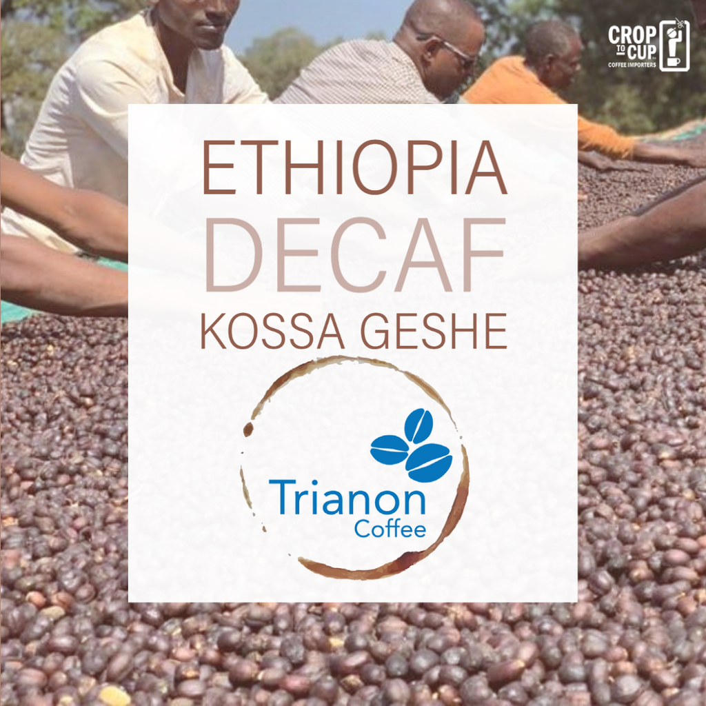 Ethiopia Decaf Kossa Geshe