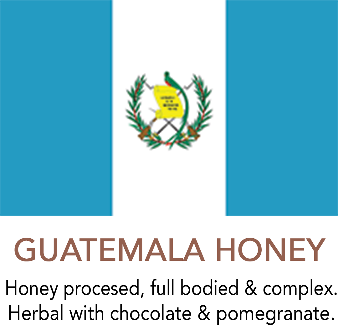 Premium Guatemala Honey Processed Coffee flavor notes: full bodied & complex. Herbal with chocolate & pomegranate.