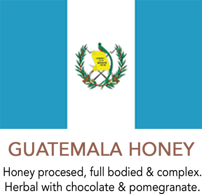 Premium Guatemala Honey Processed Coffee flavor notes: full bodied & complex. Herbal with chocolate & pomegranate.